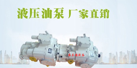 Combine harvester hydraulic pump