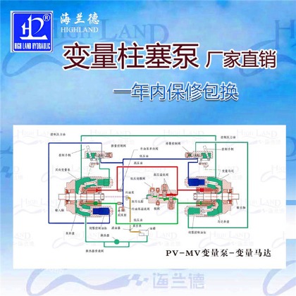 聯(lián)合收割機(jī)液壓泵廠家